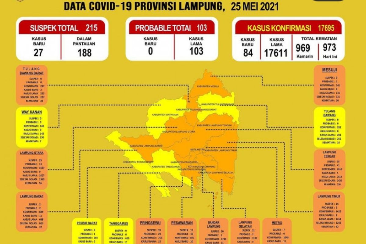 Dinkes Lampung catat kasus COVID-19 bertambah menjadi 17.695