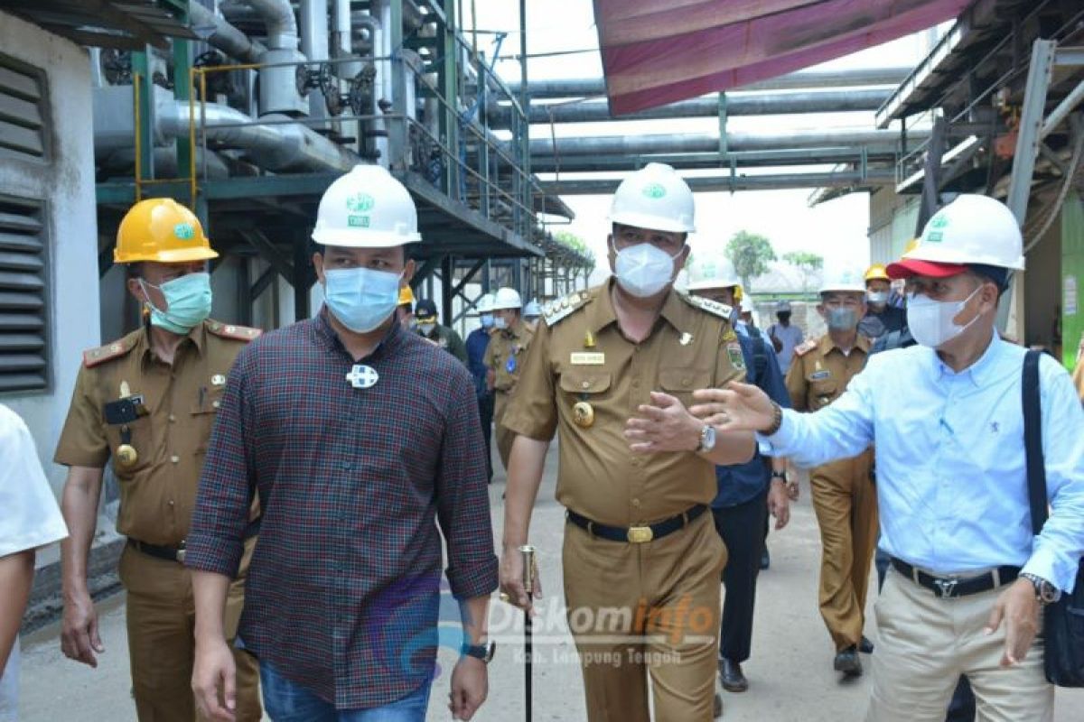 Bupati Lamandau tinjau pabrik tapioka di Lampung Tengah