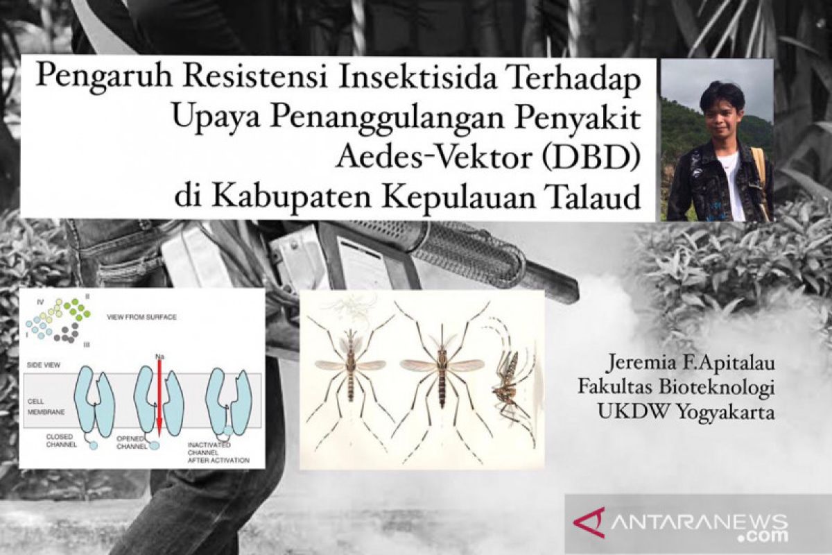 Pengaruh Resistensi Insektisida Terhadap Upaya Penanggulangan Penyakit aedes-vektor  (DBD) di Kabupaten Kepulauan Talaud