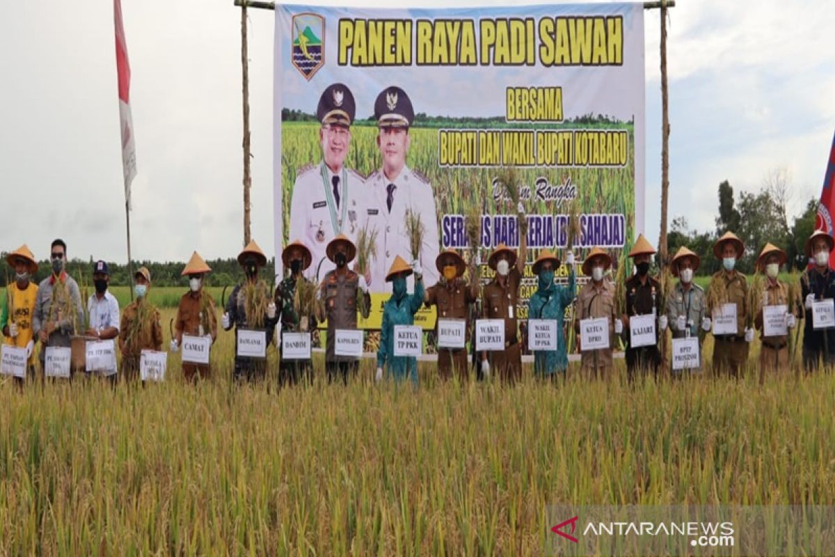 Kotabaru tingkatkan produksi padi dari 3,5 ton jadi 7 ton/ha