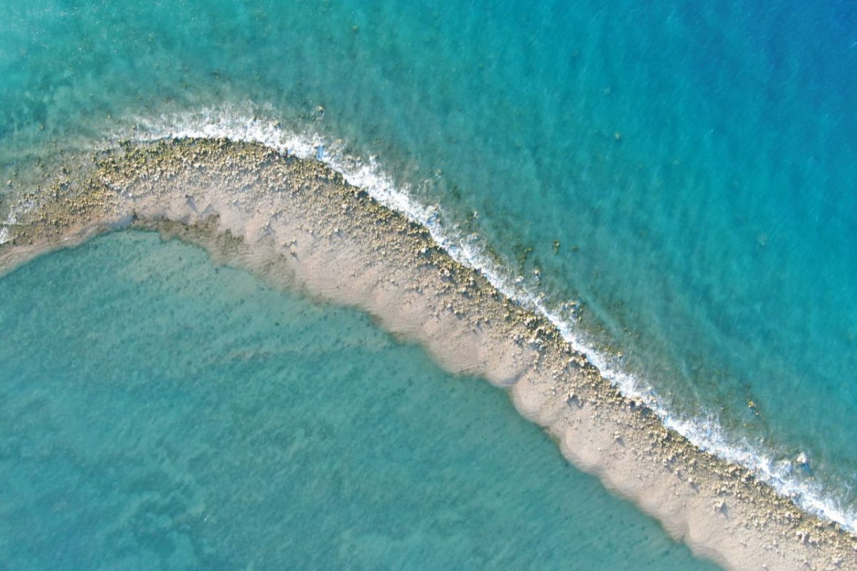 Terumbu karang  Taman Nasional Laut Sawu rusak akibat seroja