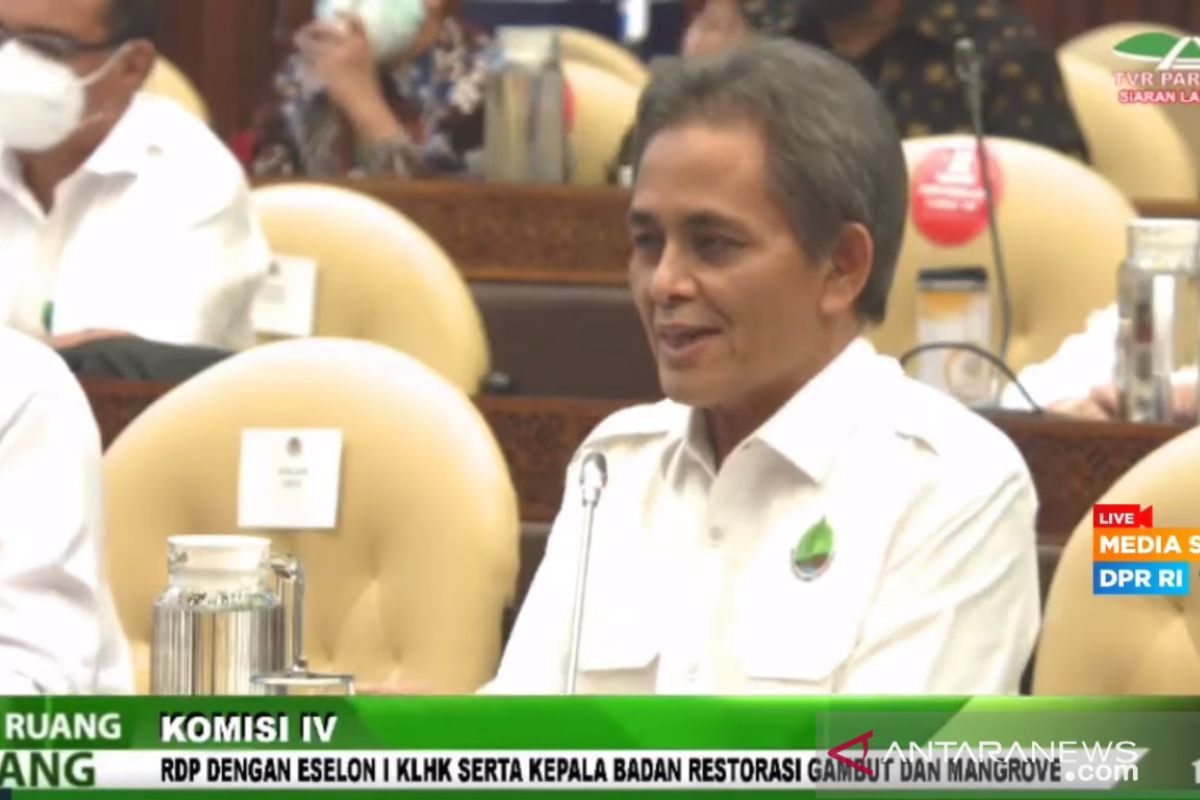 BRGM: Penanaman rehabilitasi bakau terkonsentrasi akhir tahun