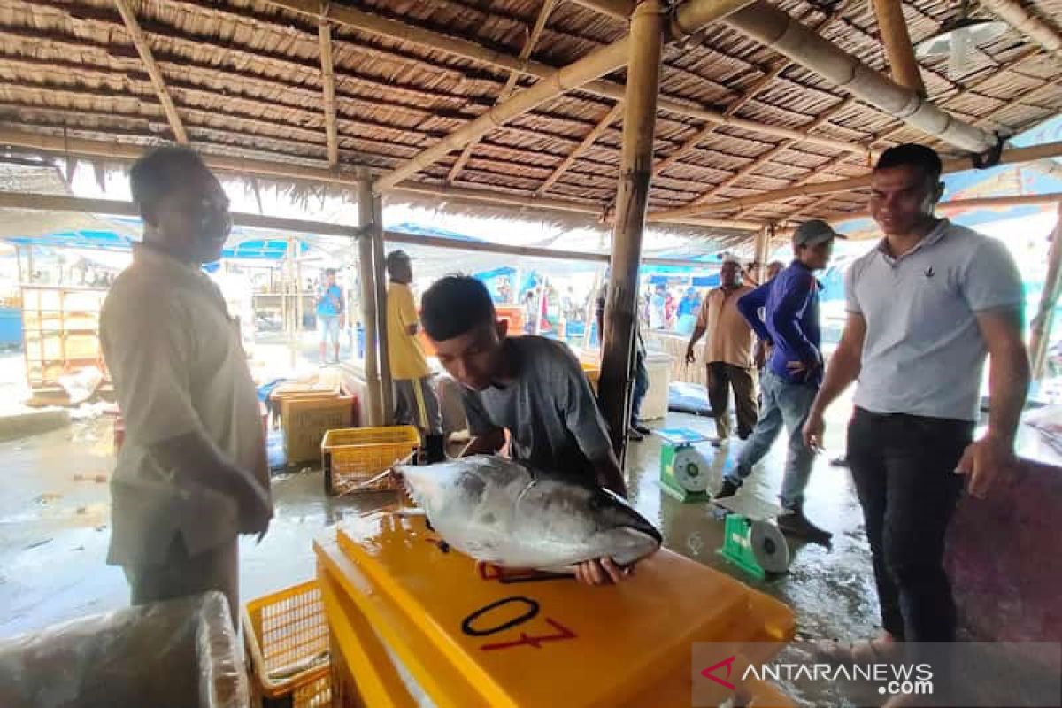 Hasil tangkapan nelayan Aceh Timur menurun karena cuaca buruk