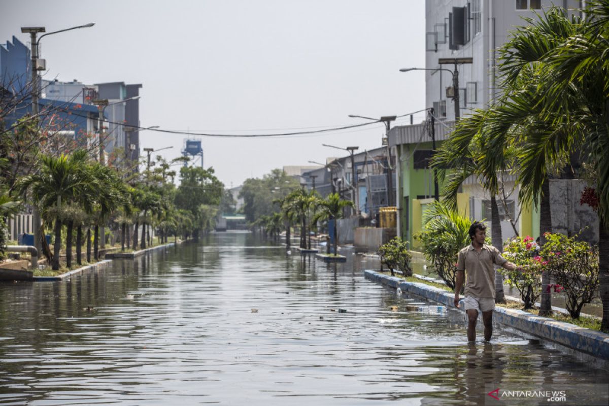 BMKG ingatkan potensi banjir rob di pesisir utara Jawa