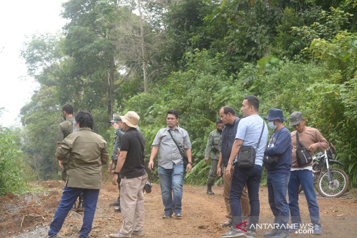 Dinas Kehutanan Sumut nyatakan areal bukaan lahan Hutaimbaru Sipirok kantongi izin