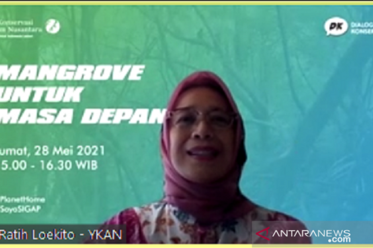 Yayasan KAN dorong pemulihan mangrove untuk mitigasi perubahan iklim