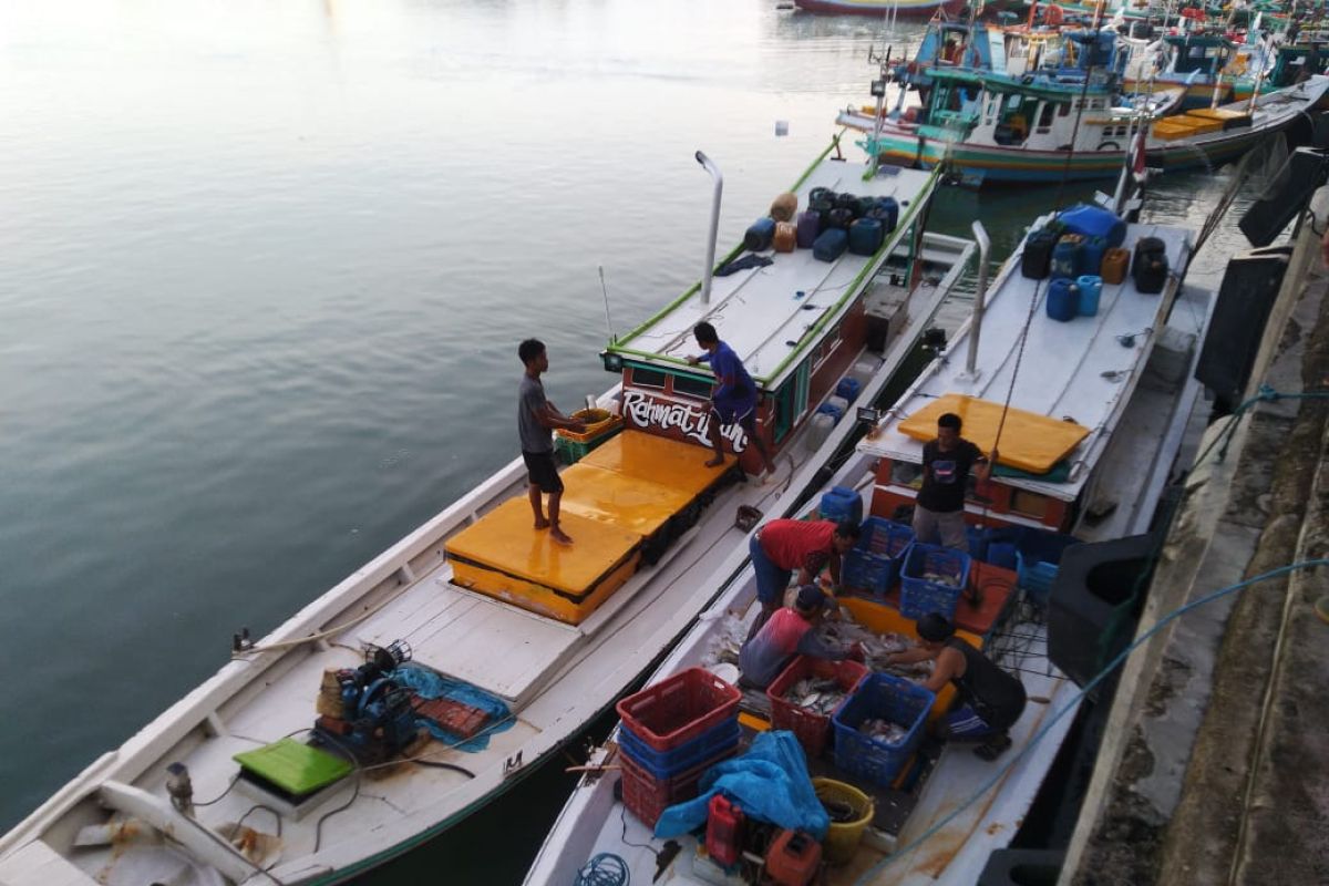 PPN Sungailiat menargetkan produksi ikan nelayan capai 335,5 ton