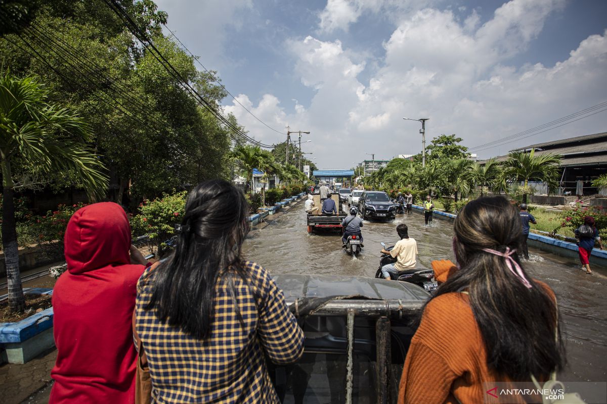 Ini permintaan MUI terkait prediksi Jakarta tenggelam