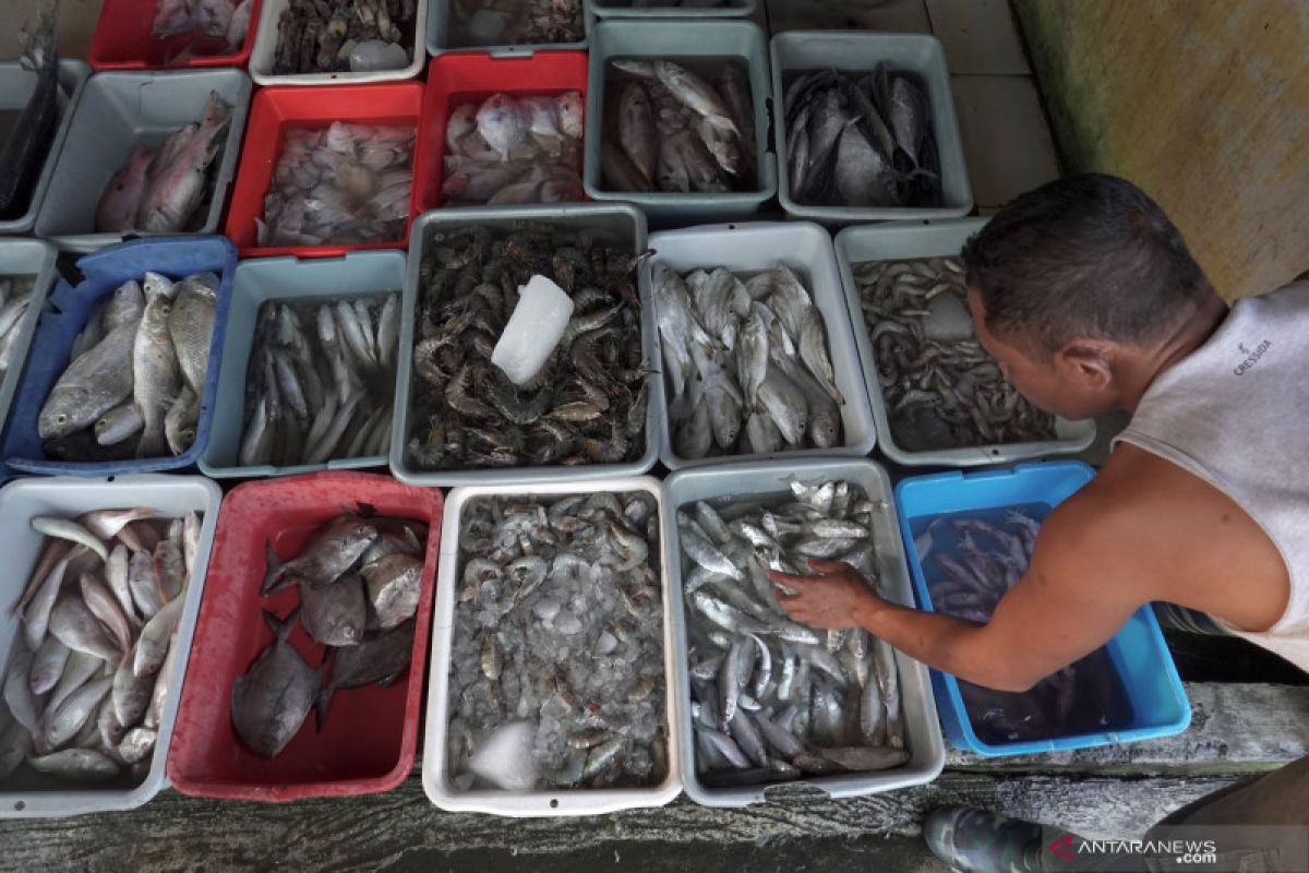 Hasil tangkapan nelayan Cilacap menurun akibat cuaca buruk
