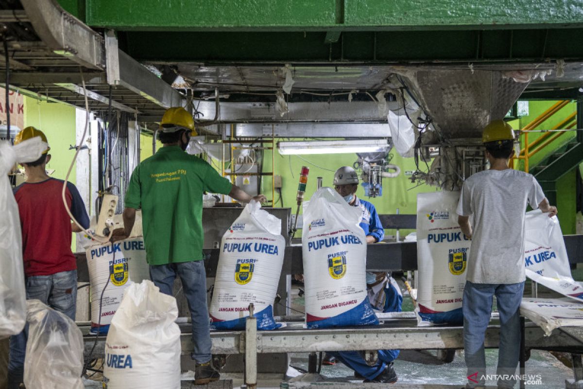 3,2 juta ton pupuk bersubsidi telah tersalurkan pada petani