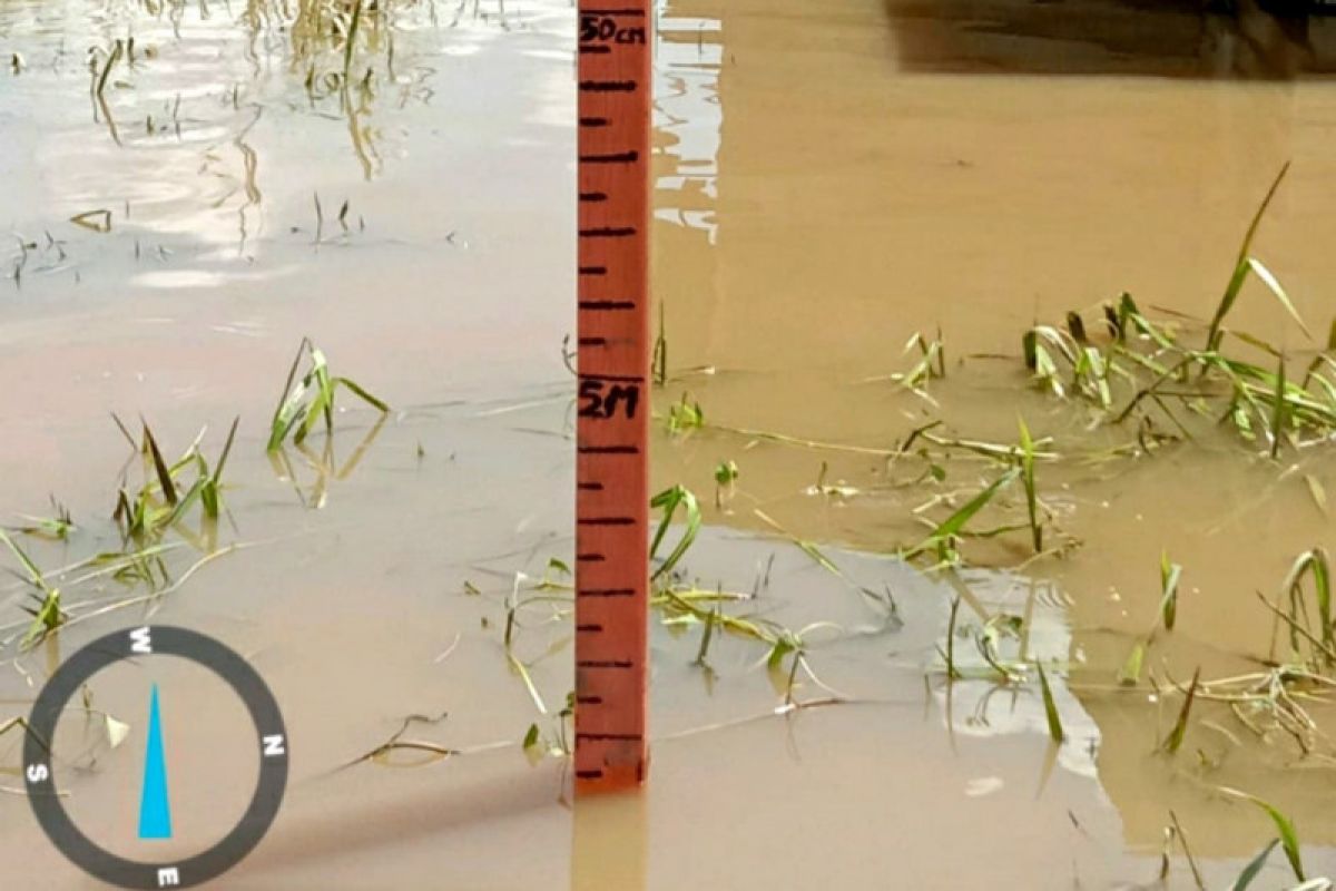 Banjir di Sembakung Kaltara berangsur surut