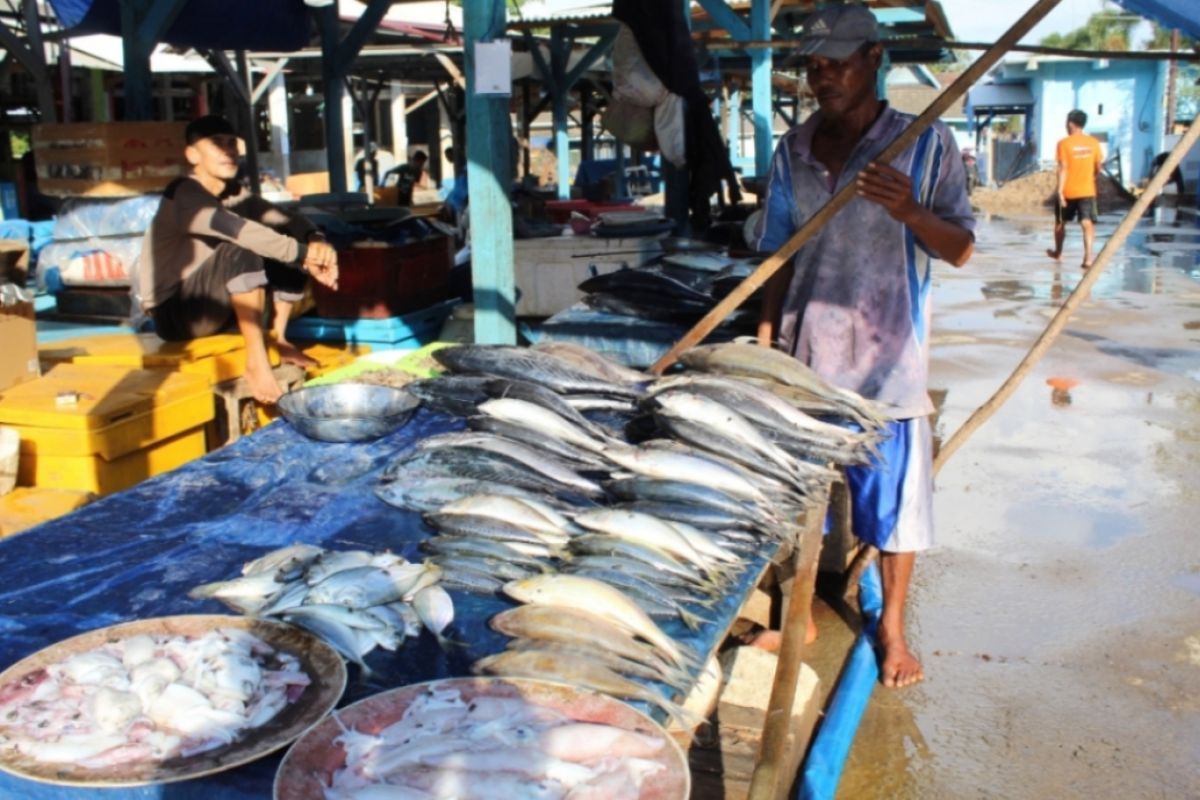 DKP Lampung siap lepasliarkan 420.000 benih ikan endemik antisipasi kepunahan