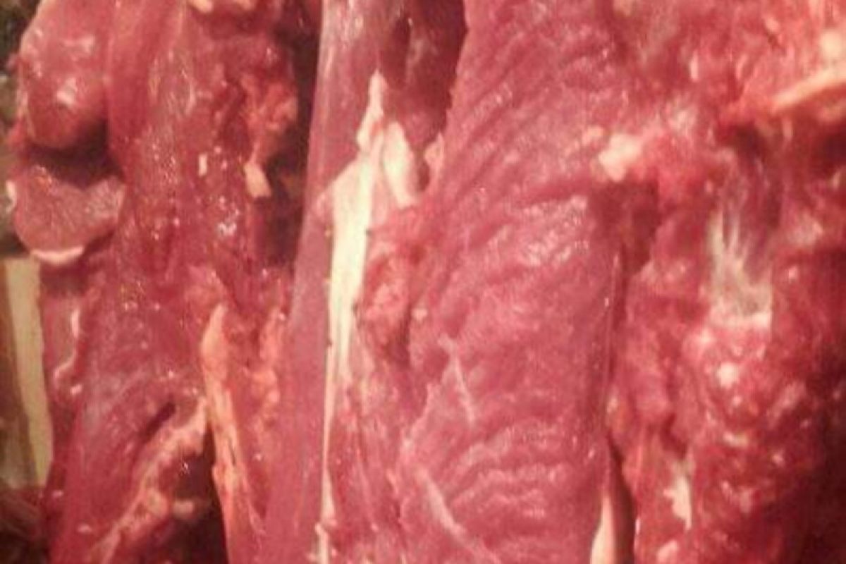 Harga daging sapi di Mesuji, Lampung turun