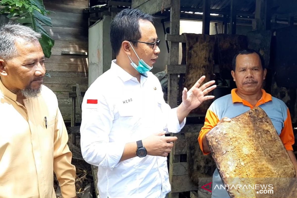 Investor tertarik produksi sarung tangan dari latex di Kalbar