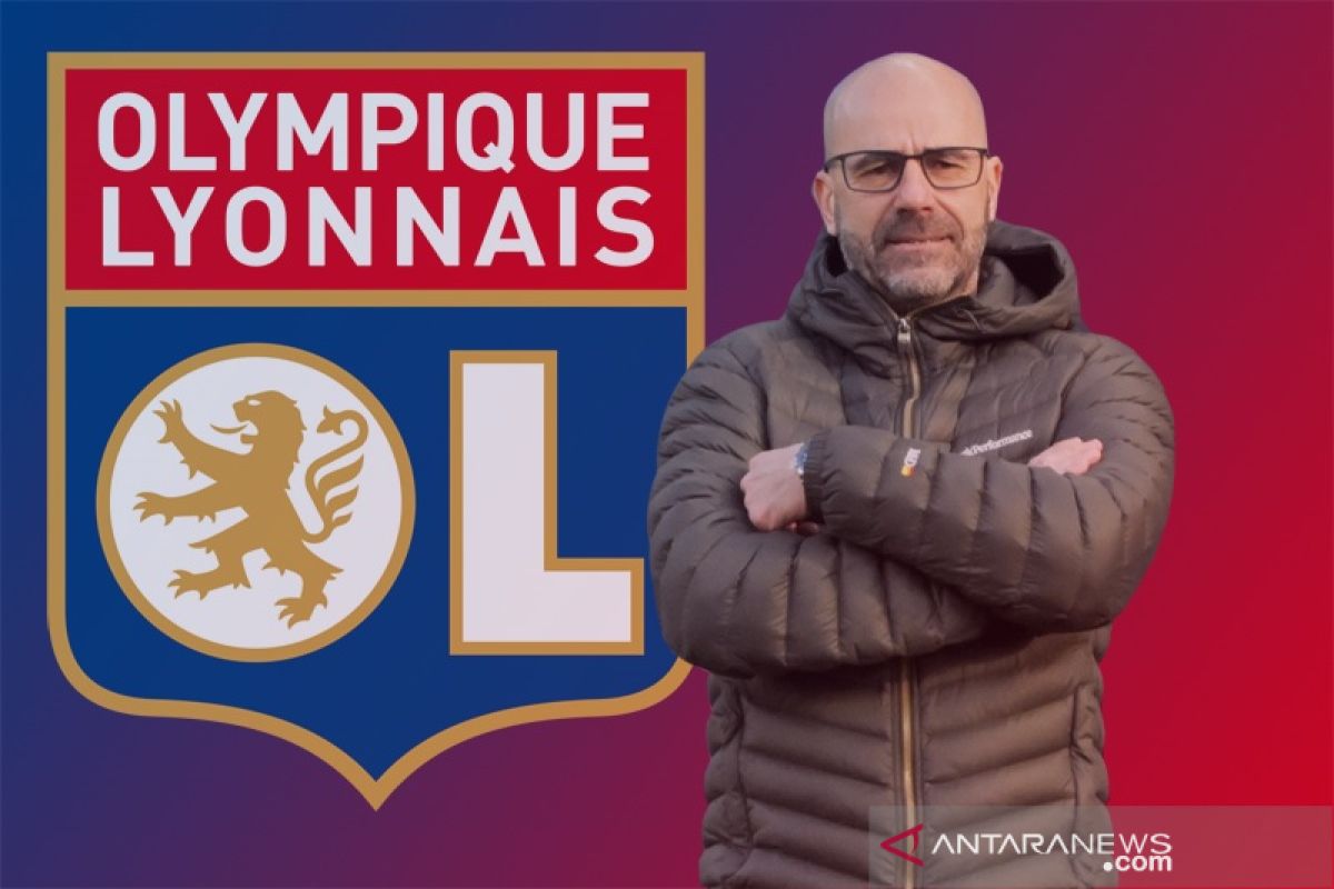 Peter Bosz melatih Lyon