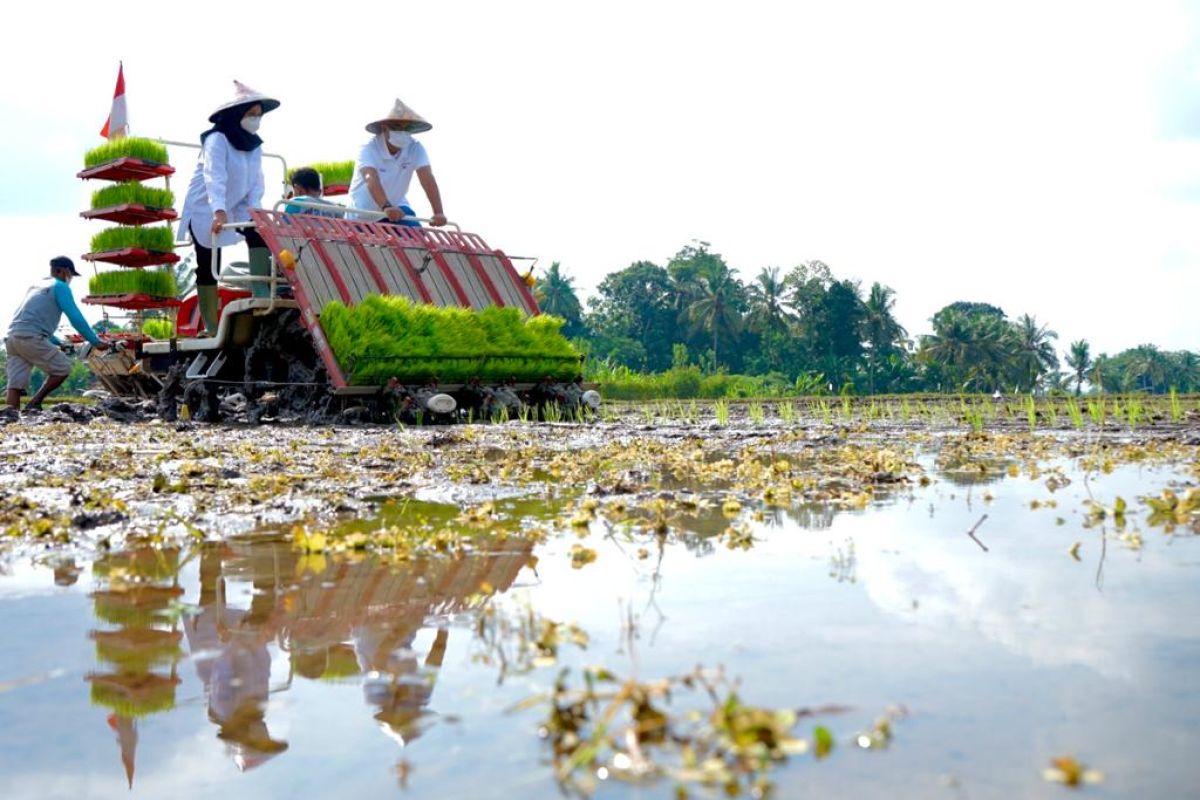 Banyuwangi jadi proyek percontohan 