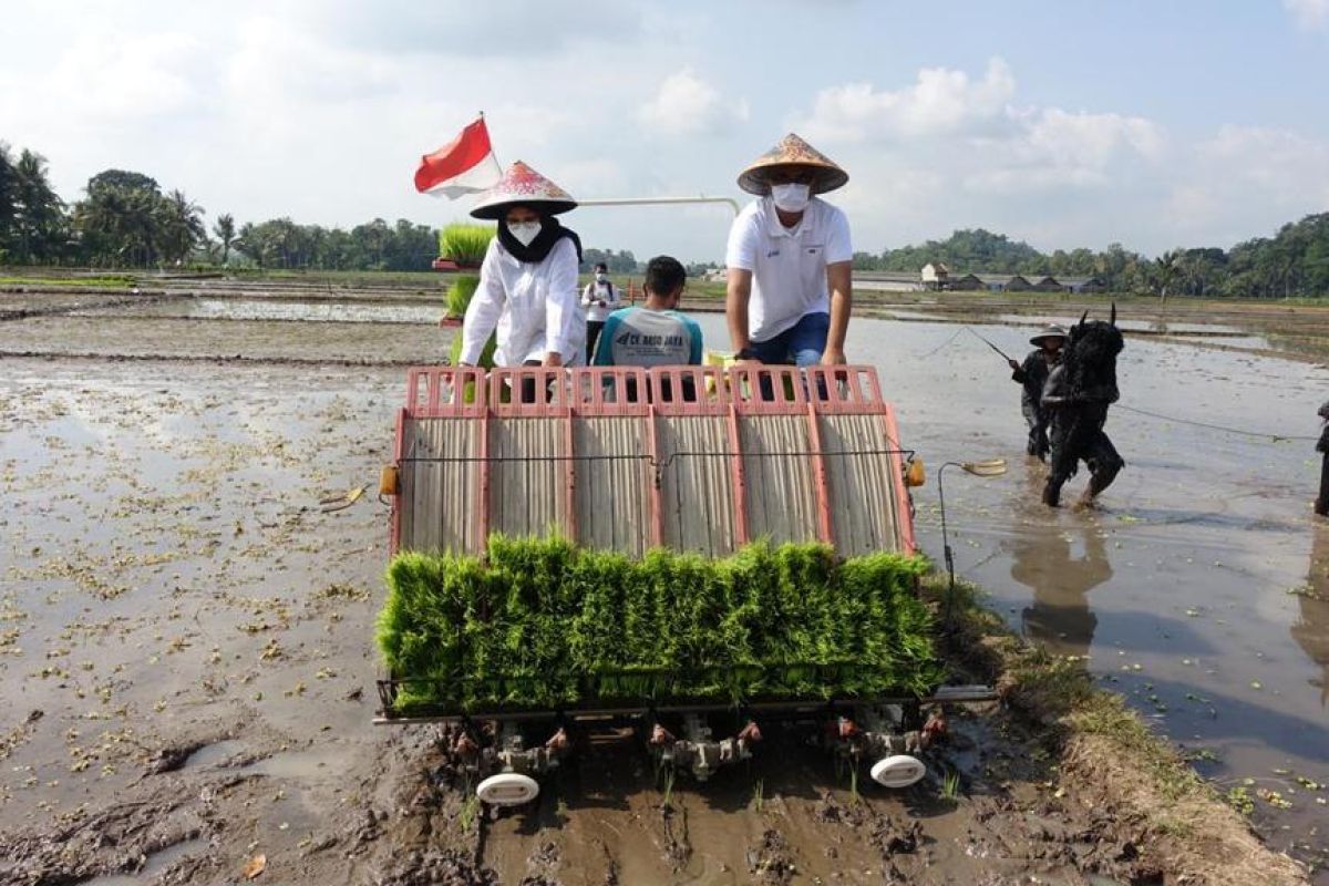 Pupuk Indonesia bukukan rekor produksi-penjualan sepanjang 2020