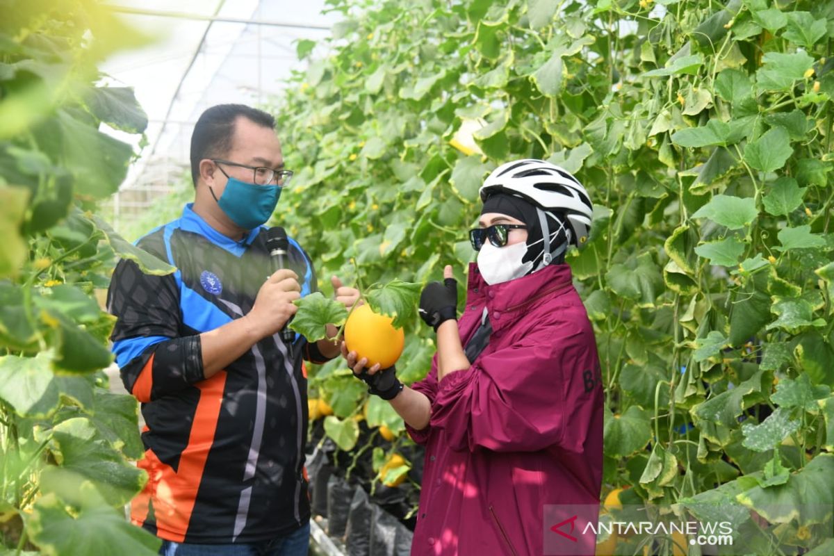 IPB University dan Bank BNI berkolaborasi majukan usaha bidang pertanian