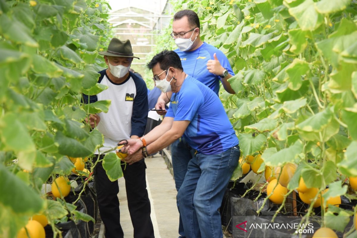 Kemenkop-UKM kembangkan model bisnis korporatisasi petani