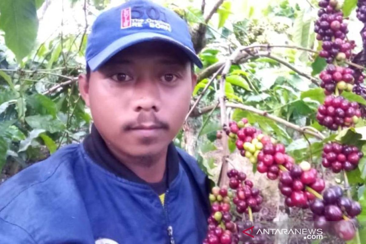 Dinas Pertanian Rejanglebong minta petani panen kopi petik merah