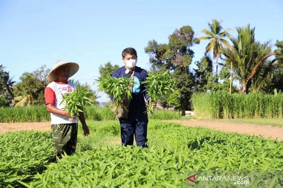 Bupati Bone Bolango promosikan Agrowisata Asmara Garden