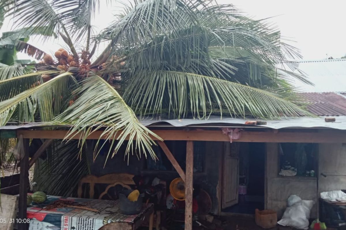 Satu unit rumah di Manggopoh Agam rusak tertimpa pohon tumbang