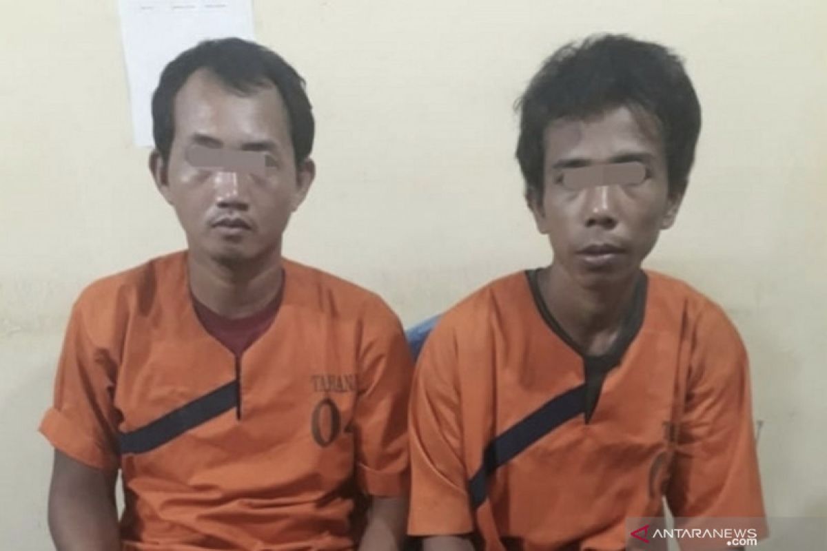 Polsek  Peranap Inhu ringkus dua pengedar sabu sembunyi di gubuk sepi