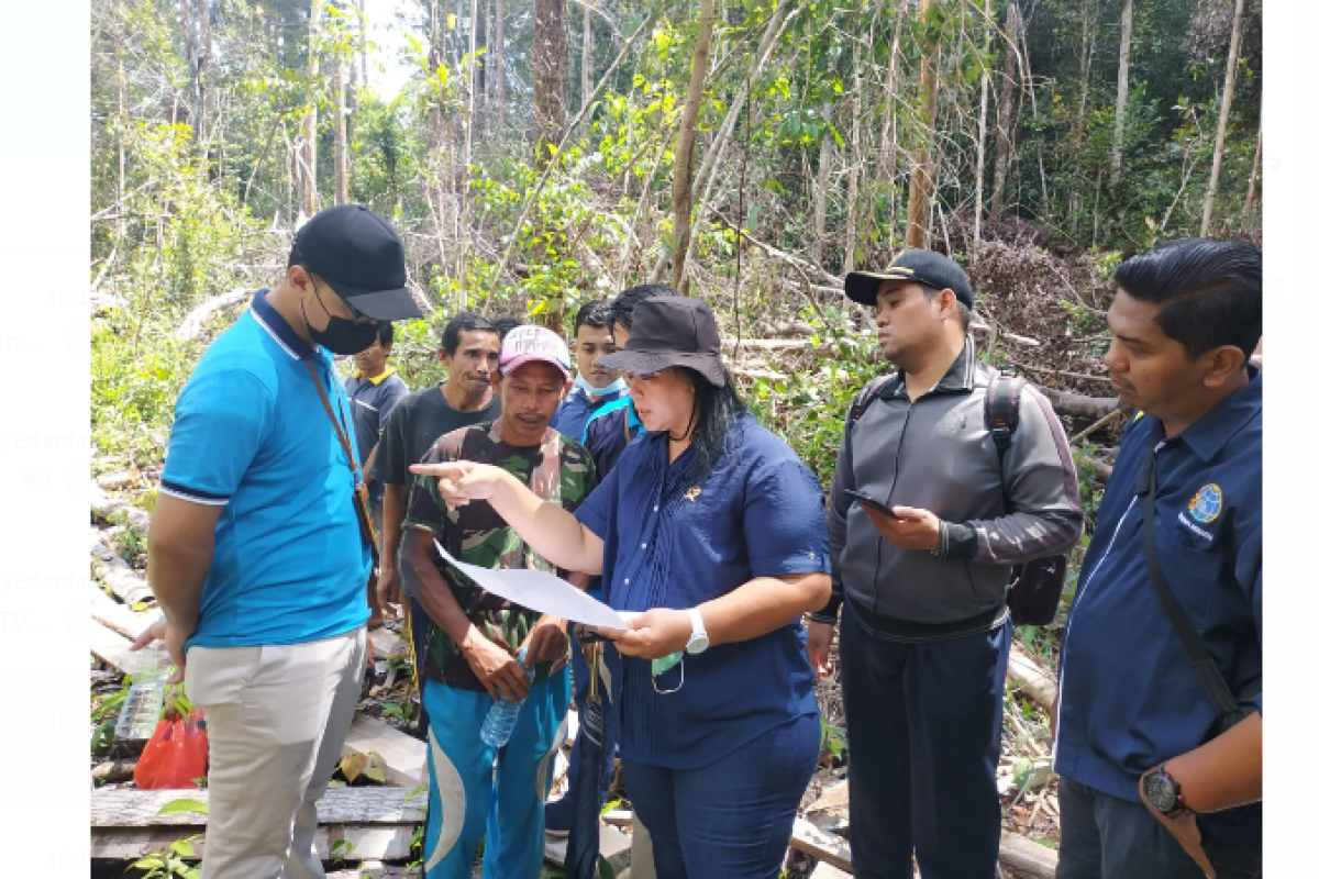 Pengadilan Negeri Putussibau gelar sidang di lokasi dugaan ilegal logging