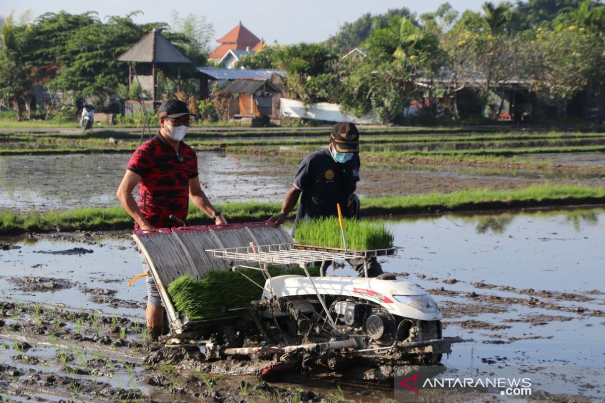 Badung dorong petani hasilkan produk pertanian berkualitas