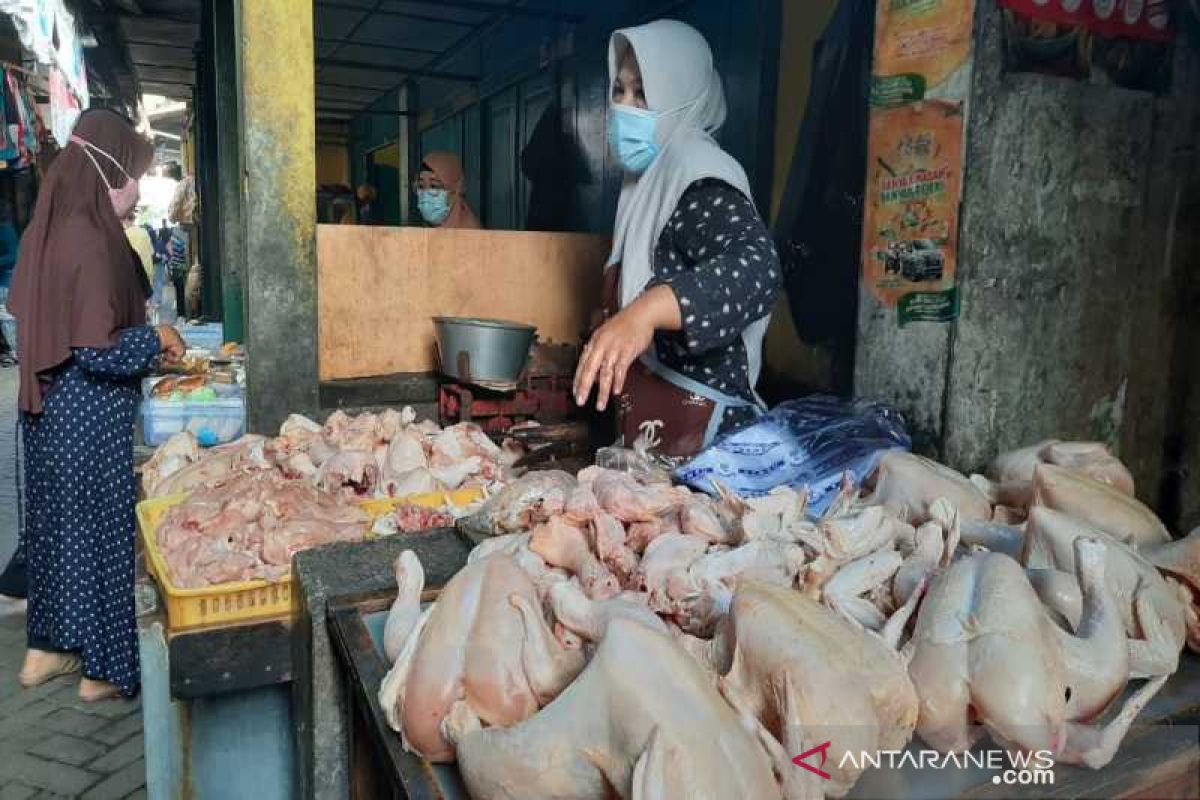 Harga daging ayam di Solo mendekati normal