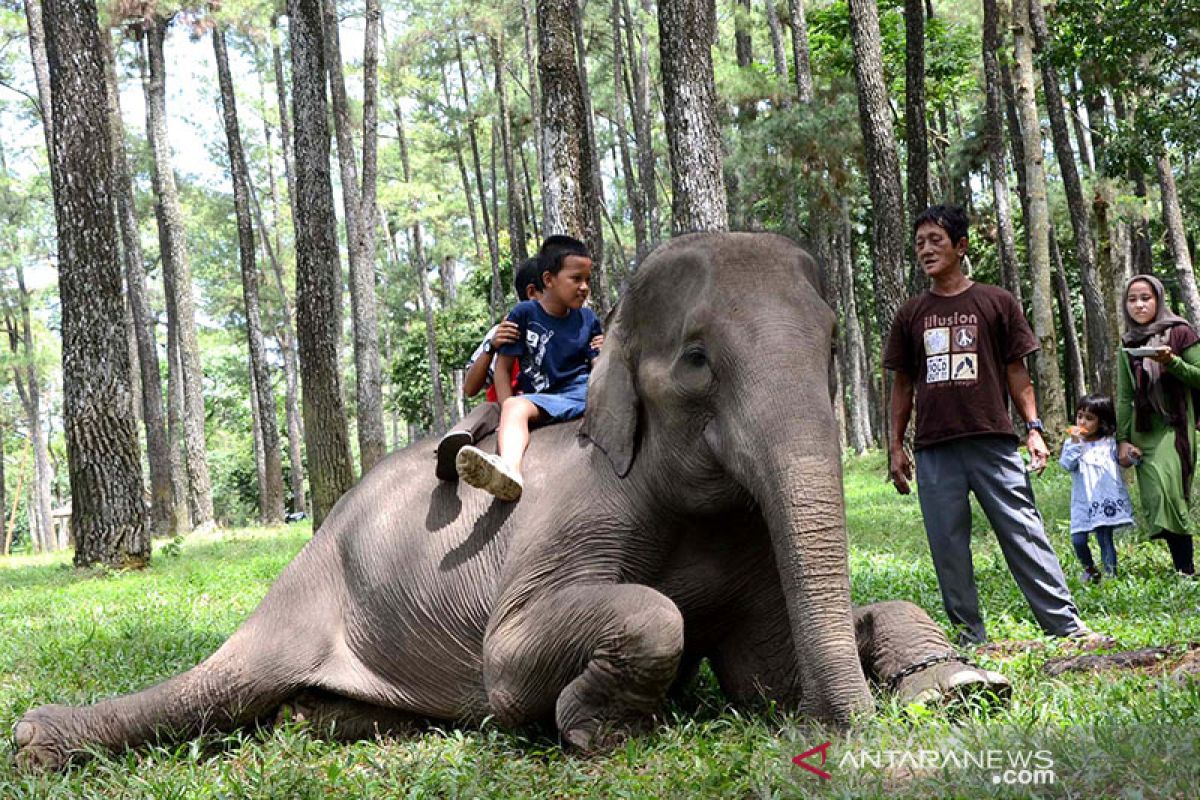 Taman wisata alam Punti Kayu Palembang sudah dibuka lagi