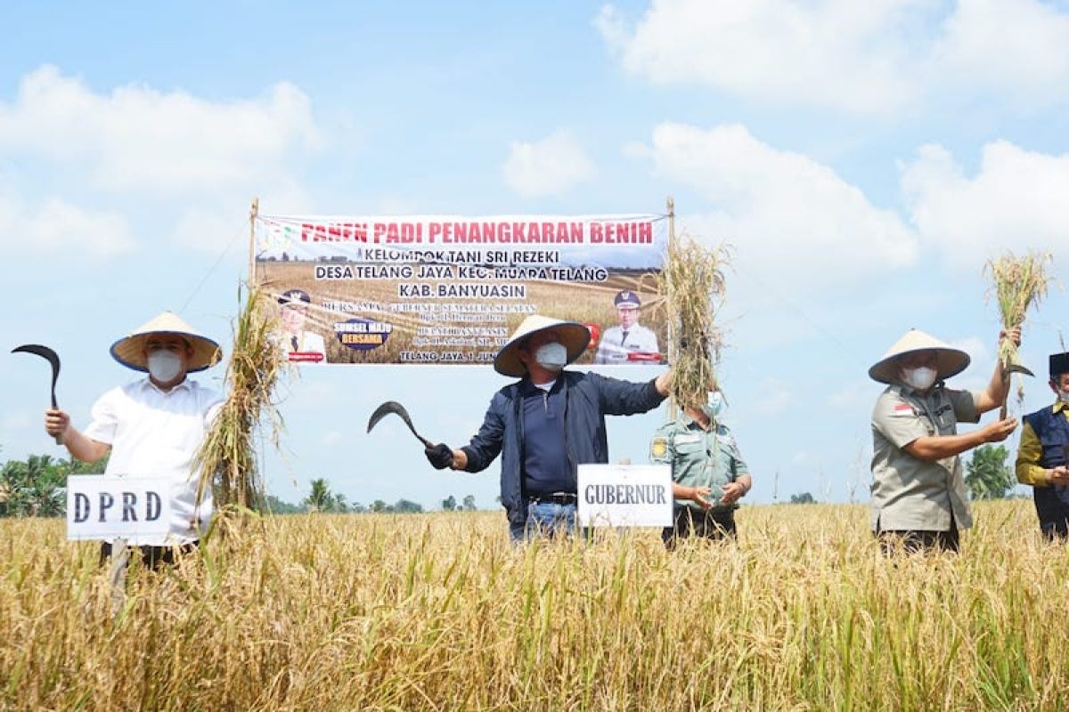 Petani Banyuasin didorong tingkatkan produktivitas lahan sejalan dalam Food Estate
