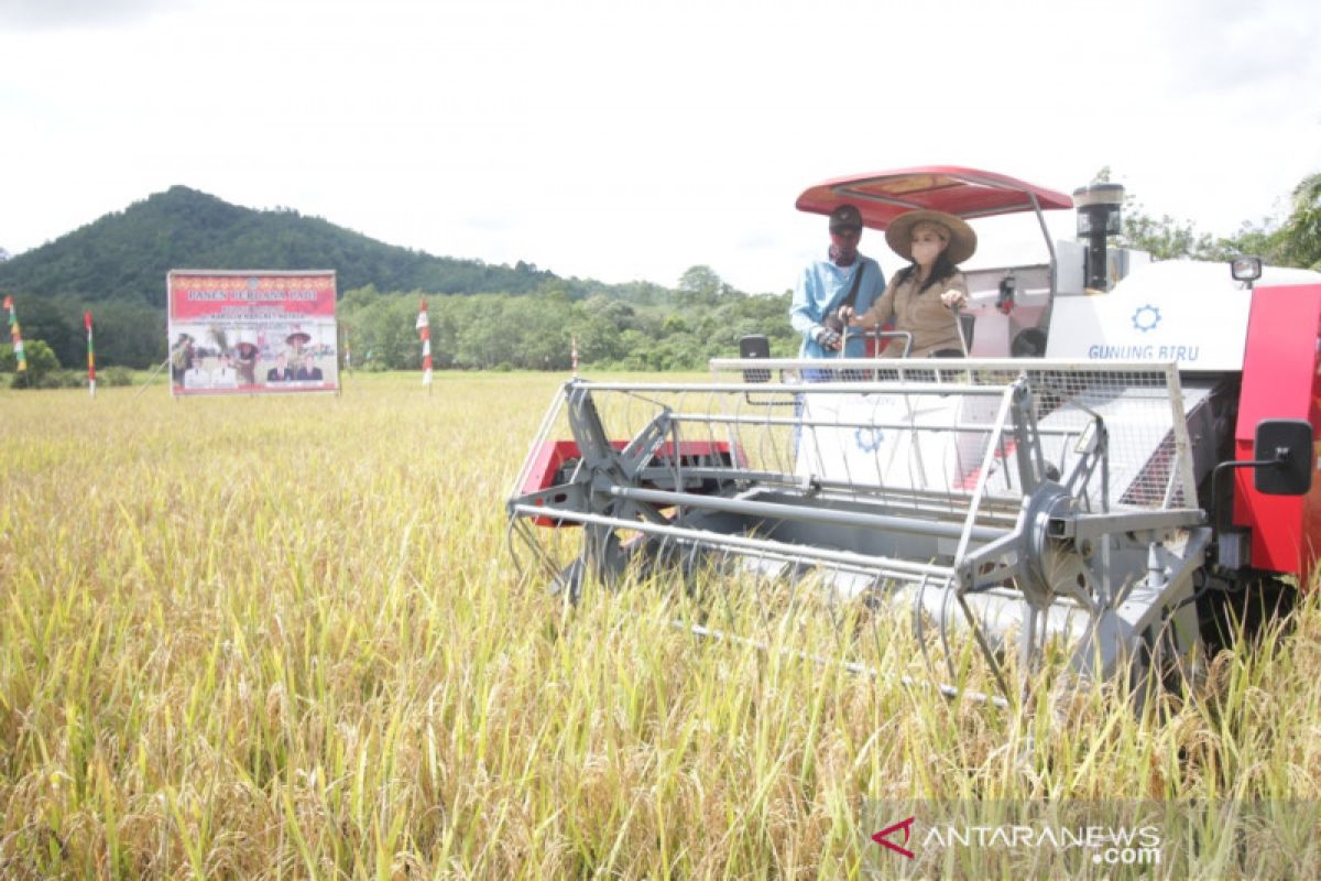 Kabupaten Landak menuju pertanian modern