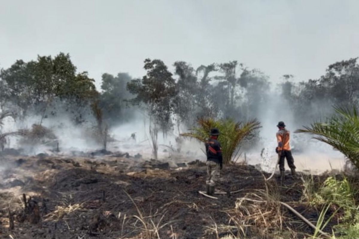 Wow, Karhutla di Inhil mencapai 304,5 hektare sejak Janauri