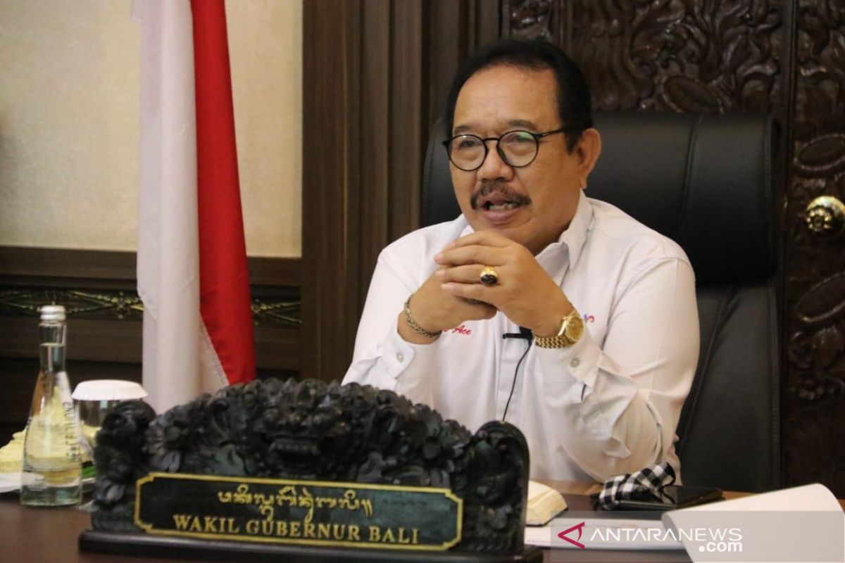 Wagub Bali dorong pelaku pariwisata garap pasar domestik