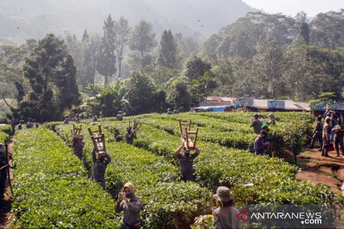 Ratusan lapak PKL di Puncak Bogor dibongkar Satpol PP, ini alasannya