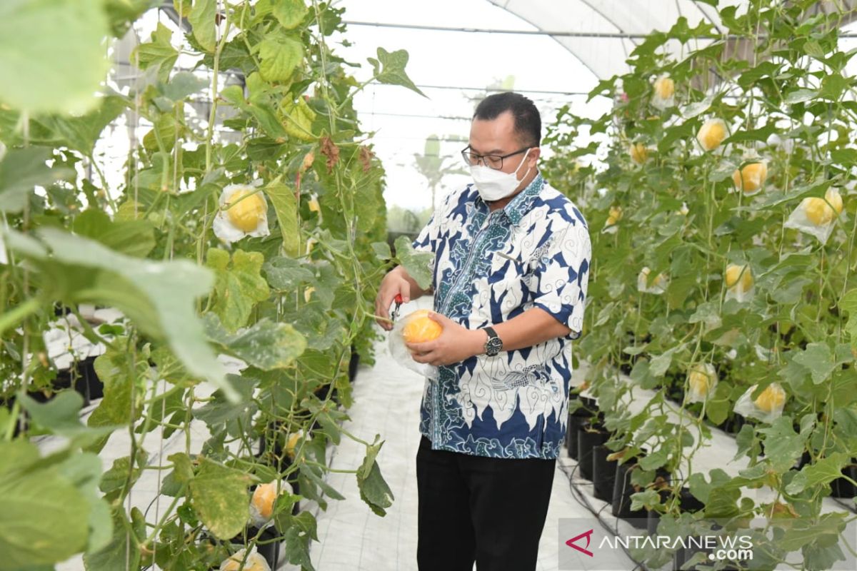 IPB dorong mahasiswanya jadi petani