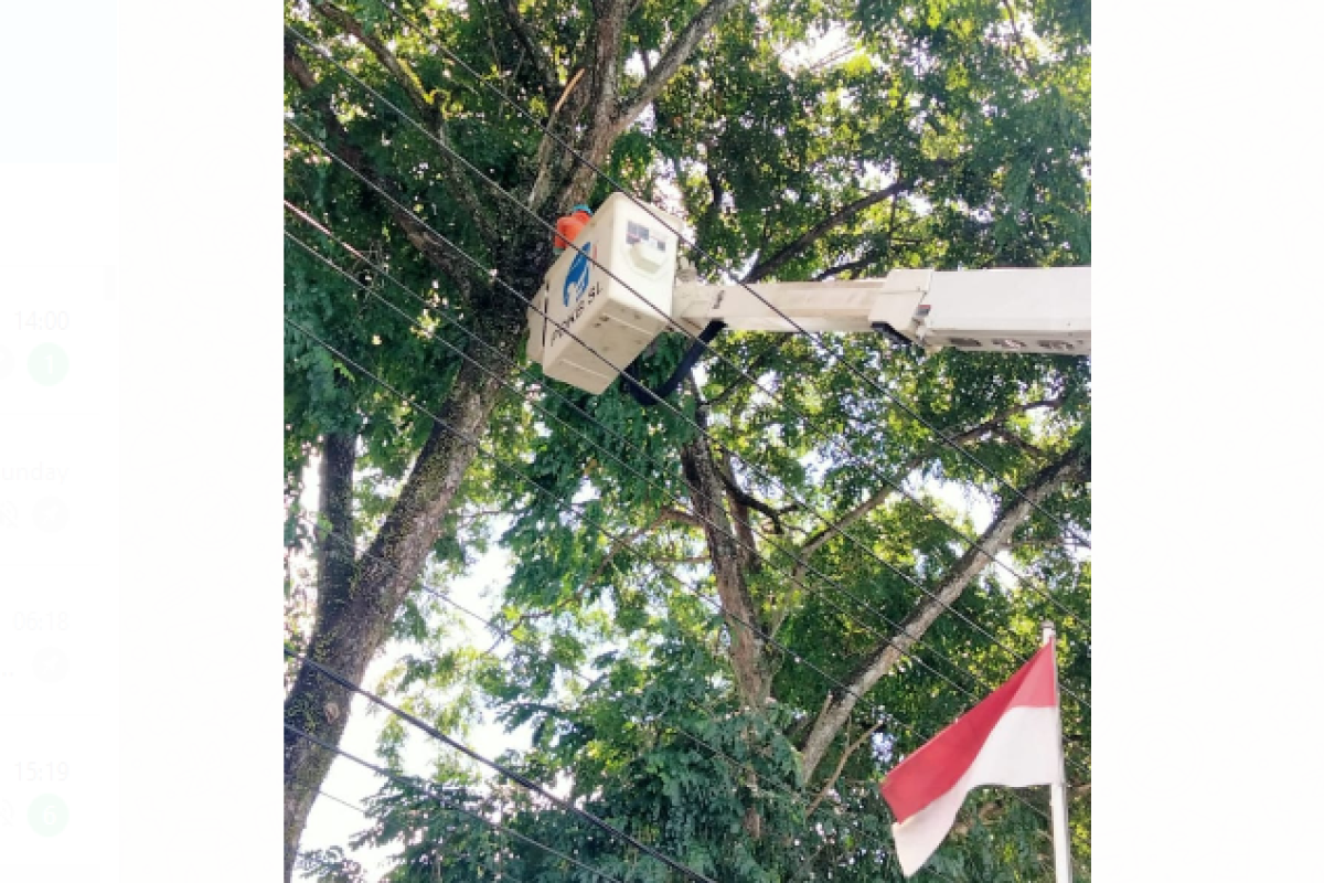 Tim PDKB PLN Pontianak pangkas pohon dekat jaringan listrik
