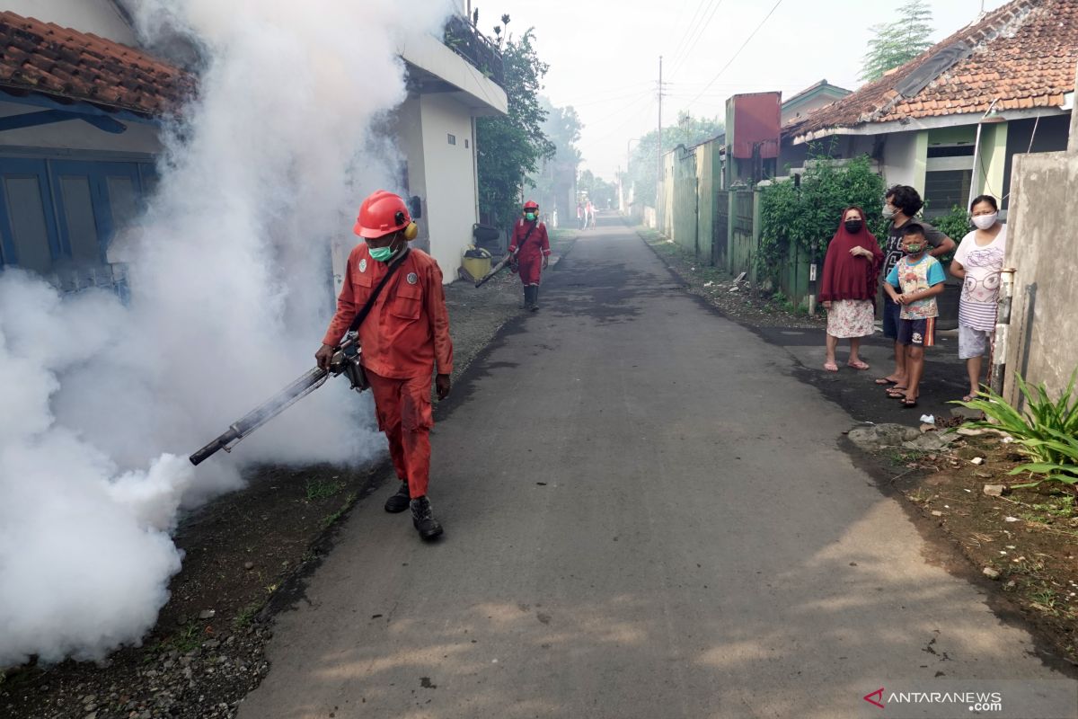 Anggota DPRD Samarinda minta Dinkes gerak cepat tangani DBD