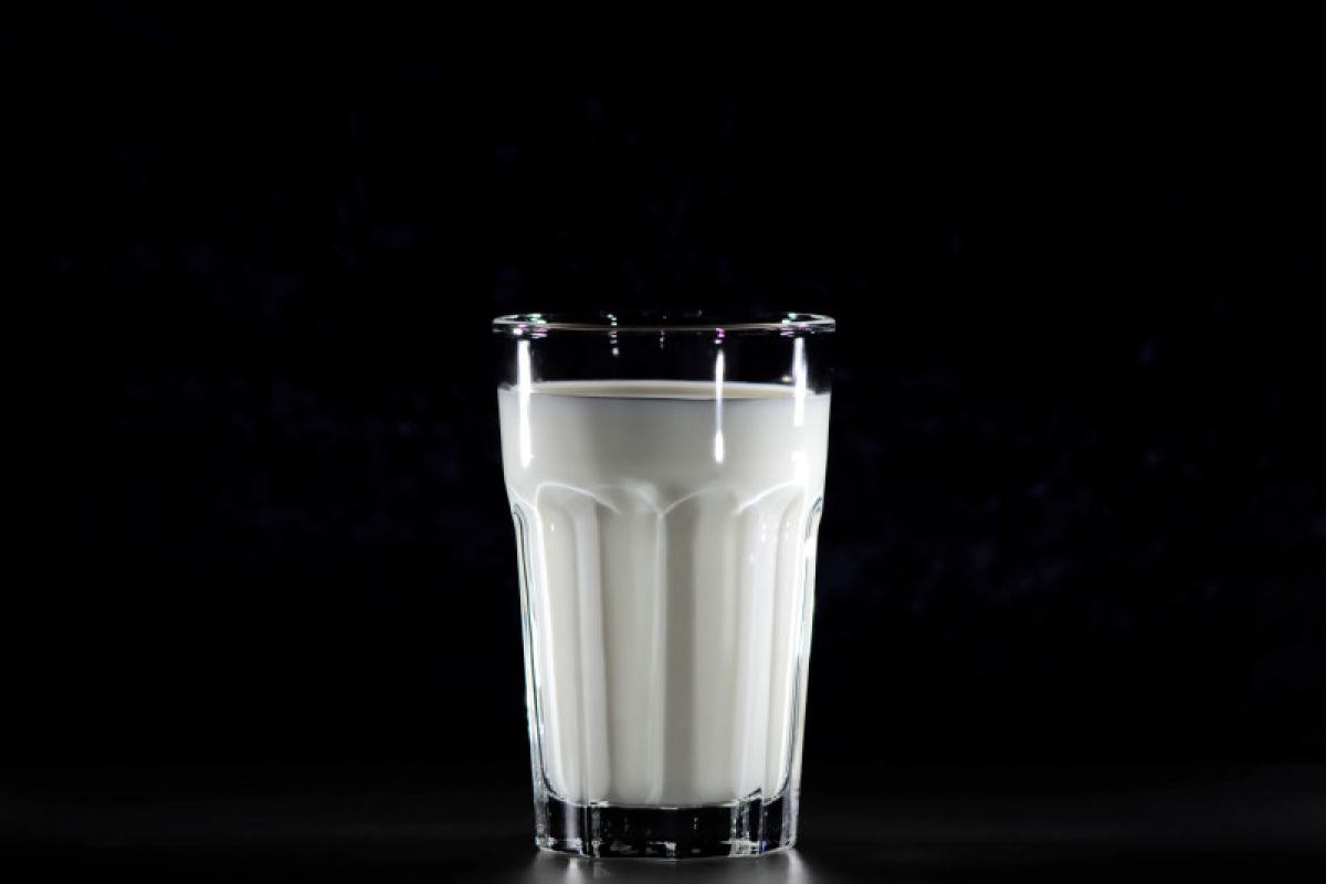 Ini porsi minum susu yang tepat untuk orang dewasa