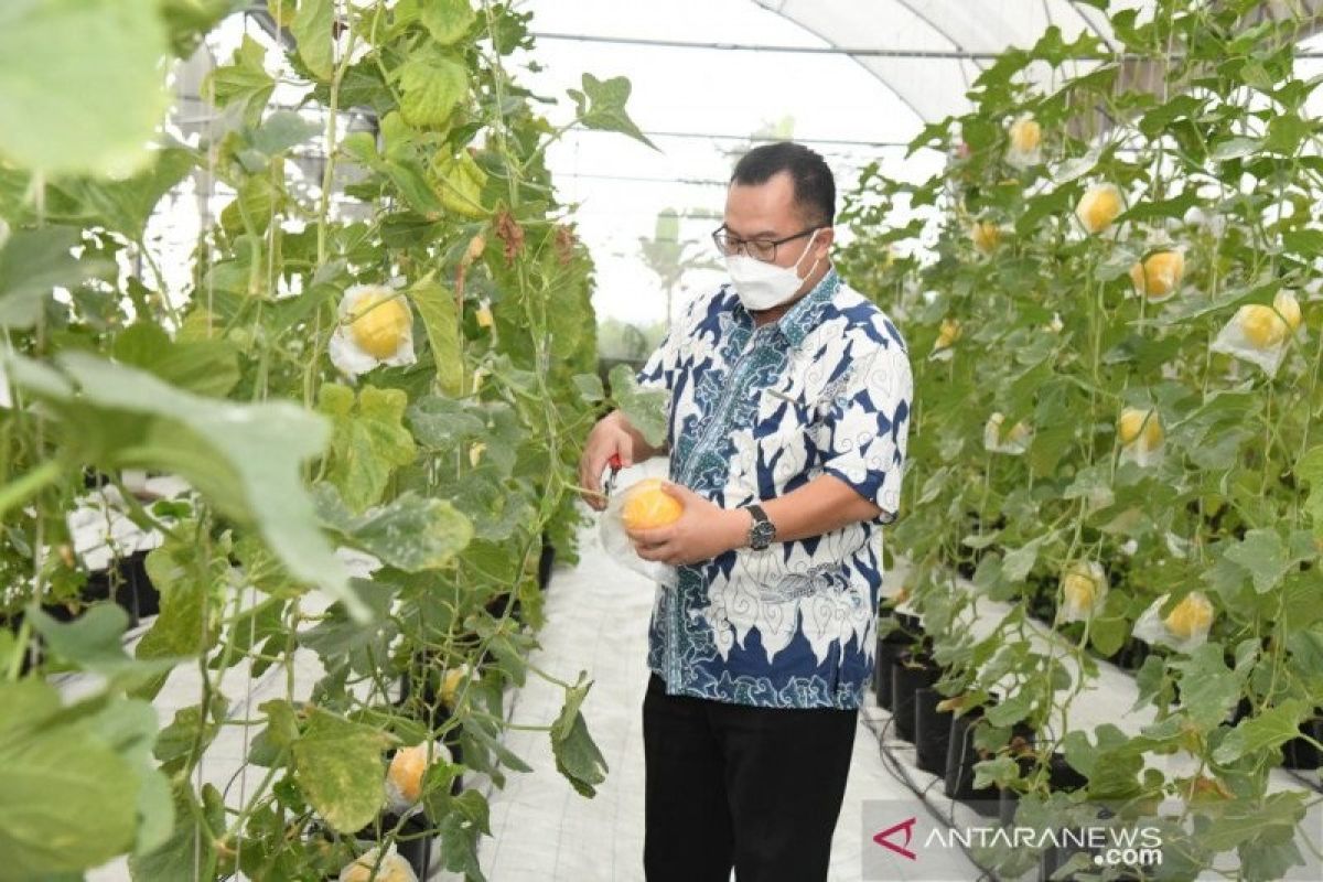 Rektor IPB University Arif Satria dorong mahasiswanya jadi petani milenial