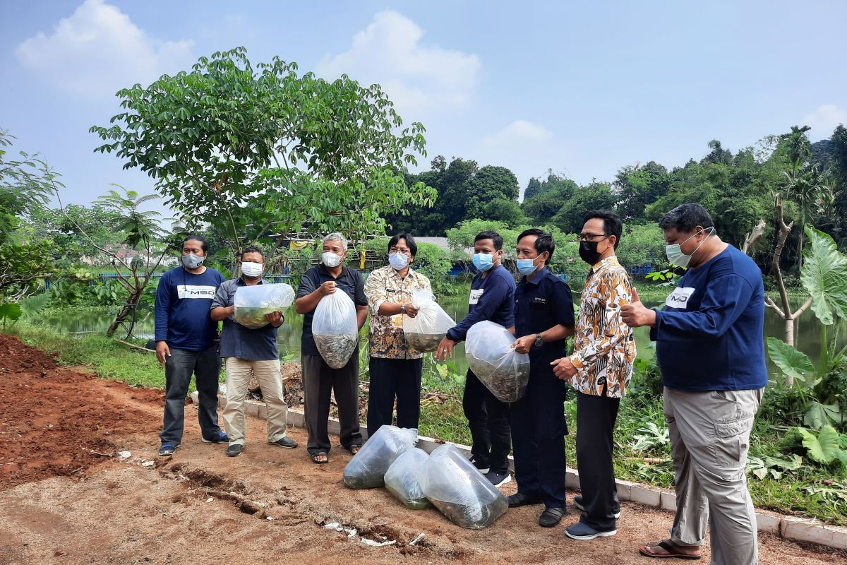 BBI Kota Depok hasilkan 200 ribu ikan konsumsi per tahun