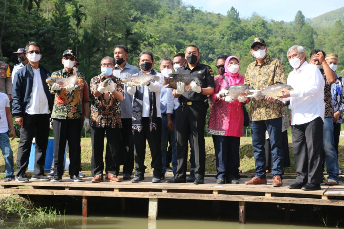 Menteri KKP minta Limapuluh Kota budidaya ikan semah dan gariang