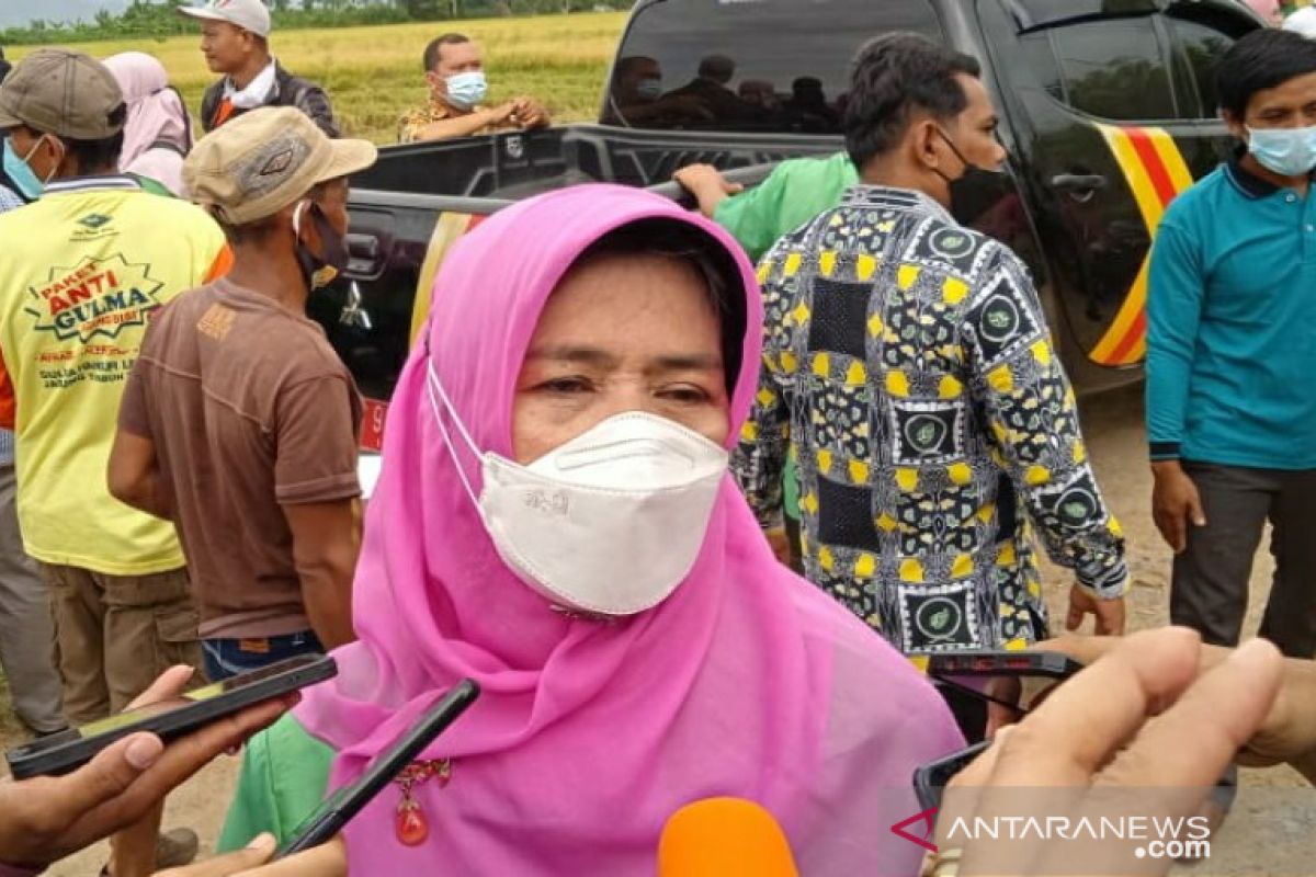 Dinas Pertanian Kendari dorong petani gunakan pupuk organik