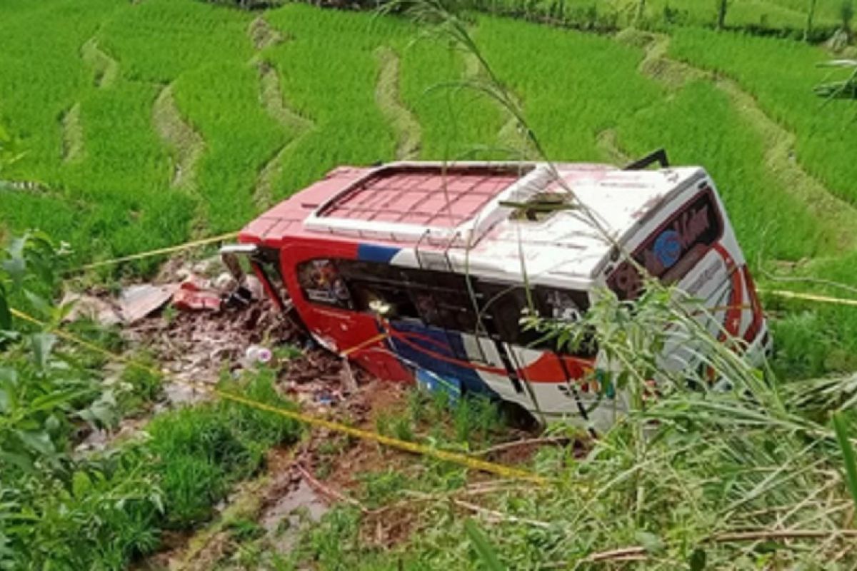 Kasus Bus Pasaman Transport Express 'nyungsep' ke sawah, sopirnya ditahan polisi