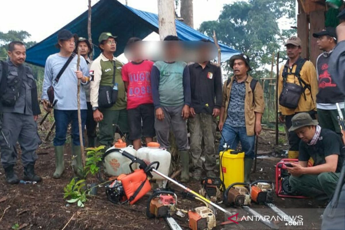 Rusak hutan di jalur pendakian Gunung Kerinci via Solok Selatan dalam kawasan TNKS, empat pelaku ditangkap aparat