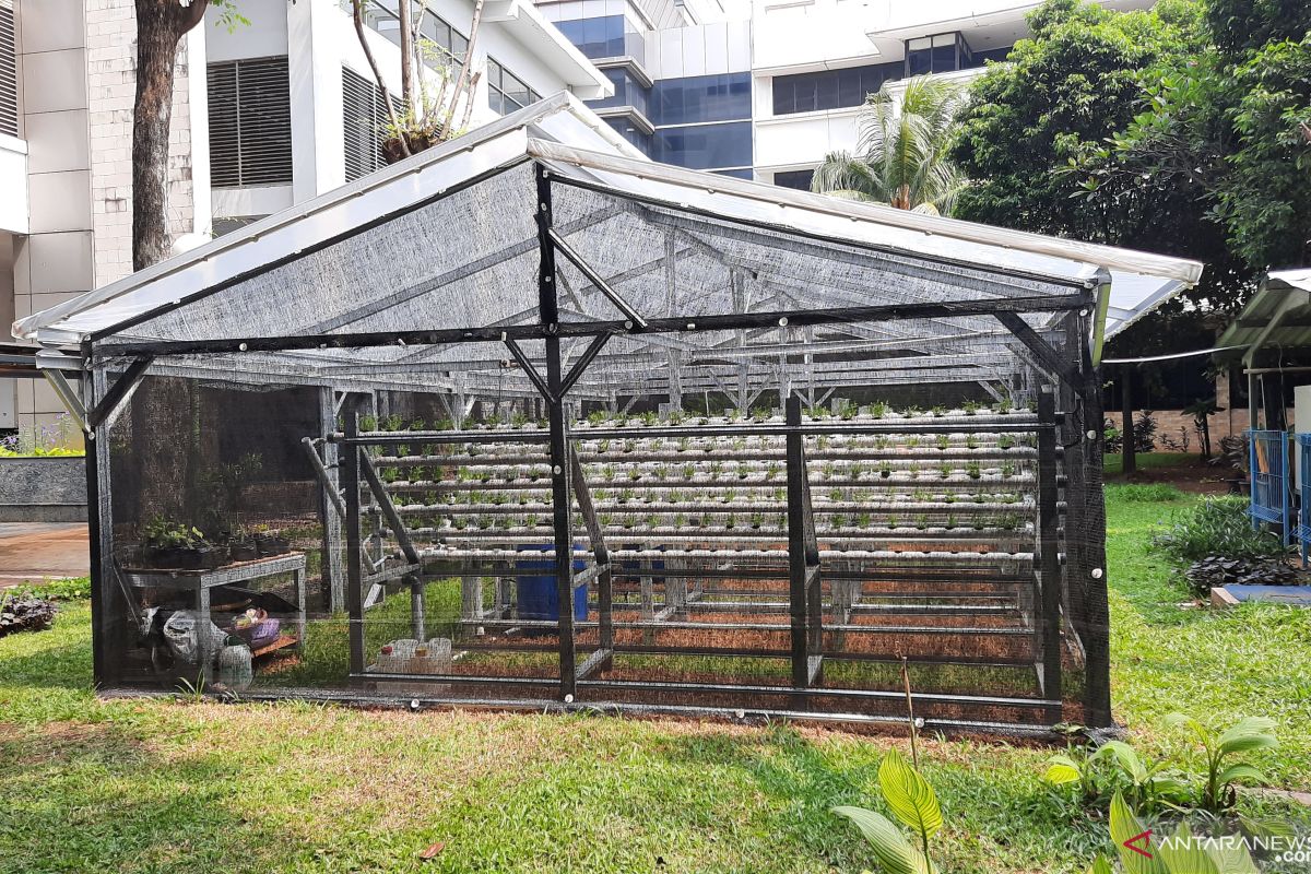 Jakarta Timur targetkan setiap kecamatan miliki "green house"