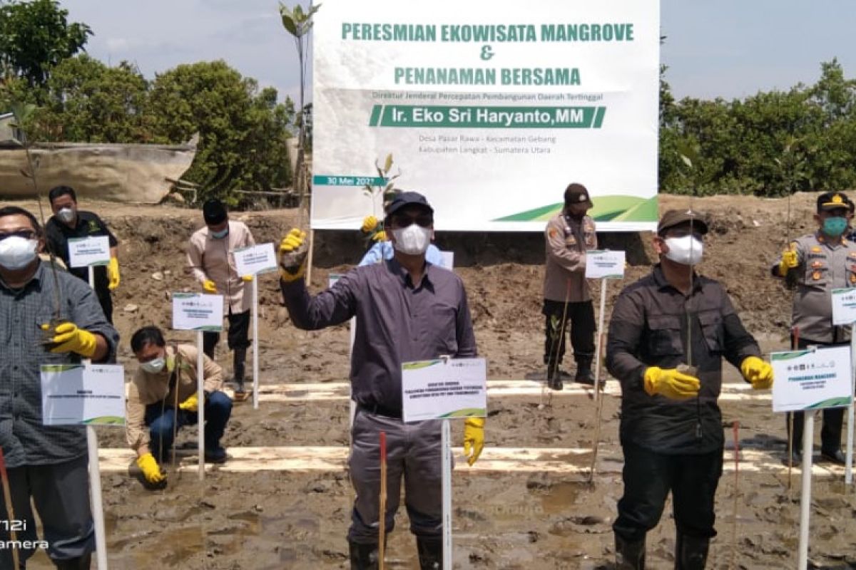 Kabupaten Langkat akan semakin hijau dengan tanaman hutan mangrove