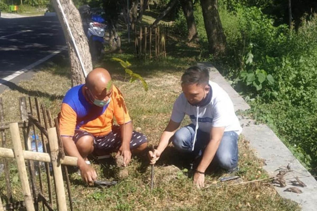 ASN Bone Bolango tanam pohon peringati Hari Lingkungan Hidup