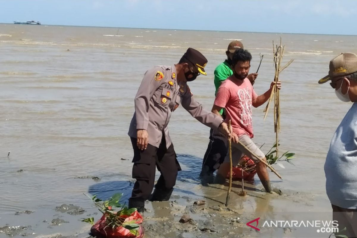 KPHP-Polres Bangka Barat tanam bibit mangrove di pesisir Mentok